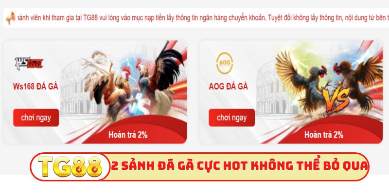 2 sảnh đá gà cực hot không thể bỏ qua