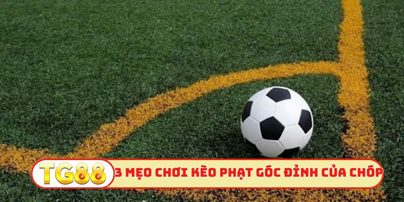 3 mẹo chơi kèo phạt góc đỉnh của chóp