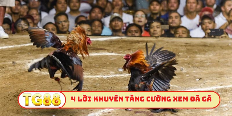 4 lời khuyên tăng cường xem đá gà trực tiếp C2