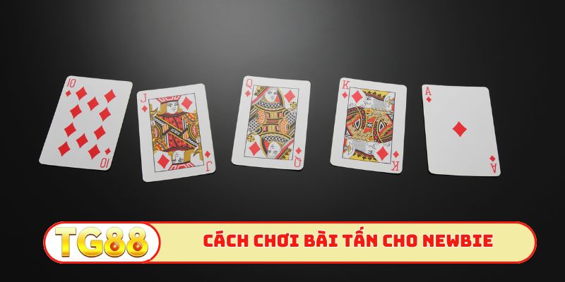 Cách chơi bài tấn chuẩn xác cho newbie