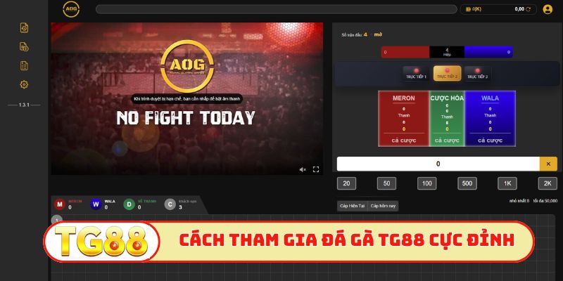 Cách tham gia đá gà TG88 cực đỉnh