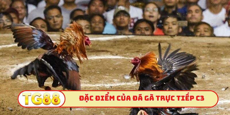 Đặc điểm nổi bật của đá gà trực tiếp c3